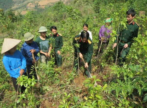 Cao Bằng: Chi trả hơn 22 tỷ đồng tiền dịch vụ môi trường rừng