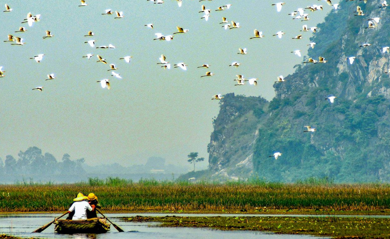 Cần đảm hài hòa mối quan hệ giữa con người với thiên nhiên