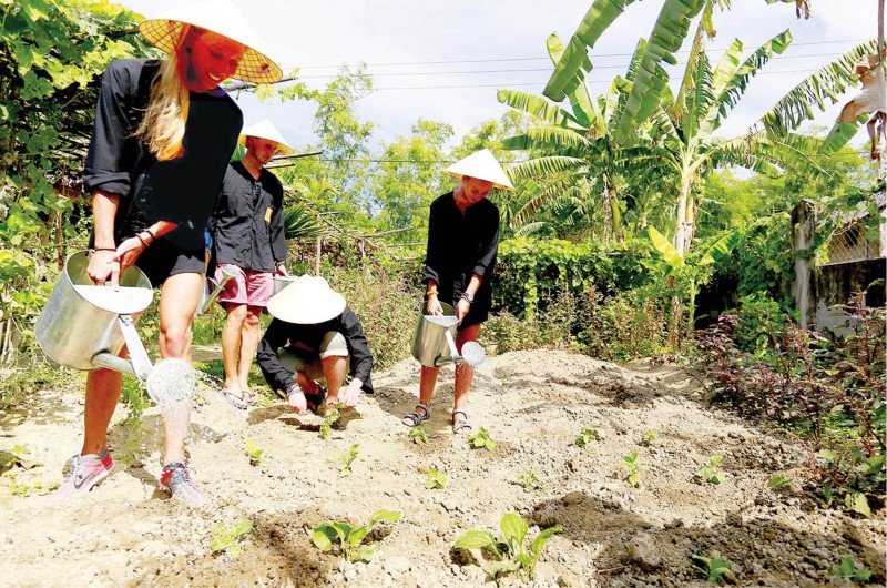 Du lịch đón gần 5,6 triệu lượt khách quốc tế trong 6 tháng đầu năm