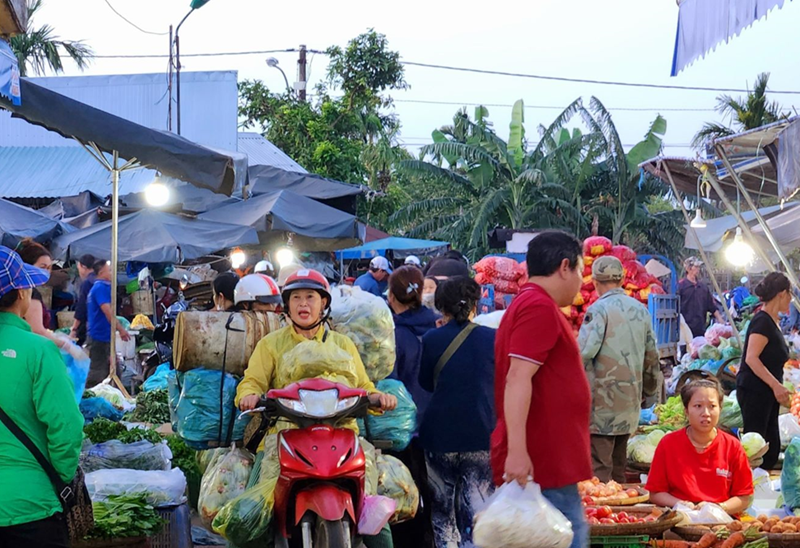 Chợ đầu mối tối thiểu phải có 10.000 m2 đất nền