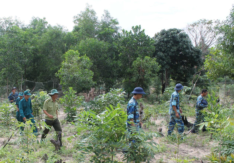 Những đối tượng được giao đất rừng không thu tiền sử dụng đất