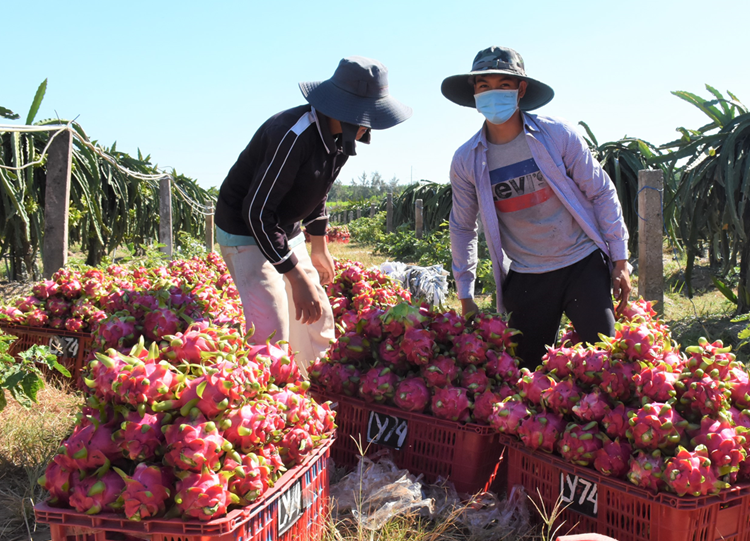 Khẩn trương hình thành các chuỗi liên kết hàng thuần Việt