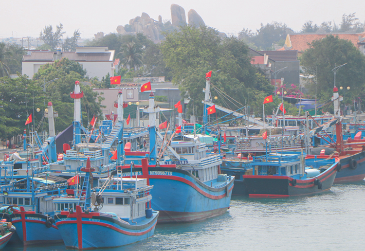 Phòng chống IUU: Người đứng đầu địa phương chịu trách nhiệm nếu vẫn để xảy ra vi phạm