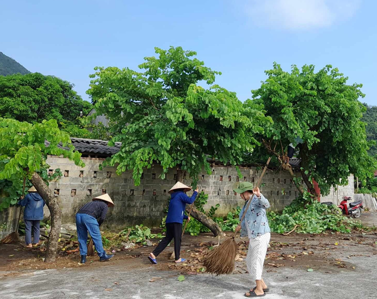 Chất lượng môi trường nông thôn phải được theo dõi, đánh giá