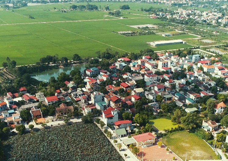 Phó Thủ tướng Thường trực làm Trưởng Ban Chỉ đạo Tổng điều tra nông thôn, nông nghiệp