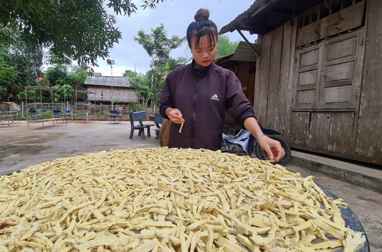 Quảng Bình: Phân bổ hơn 11 tỷ đồng triển khai Chương trình OCOP