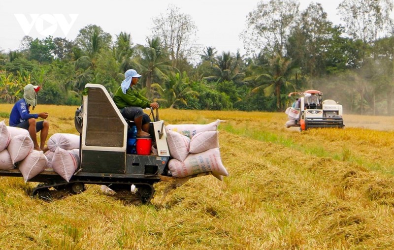 Xử lý nghiêm các trường hợp trục lợi bất chính, đẩy giá lúa gạo lên cao