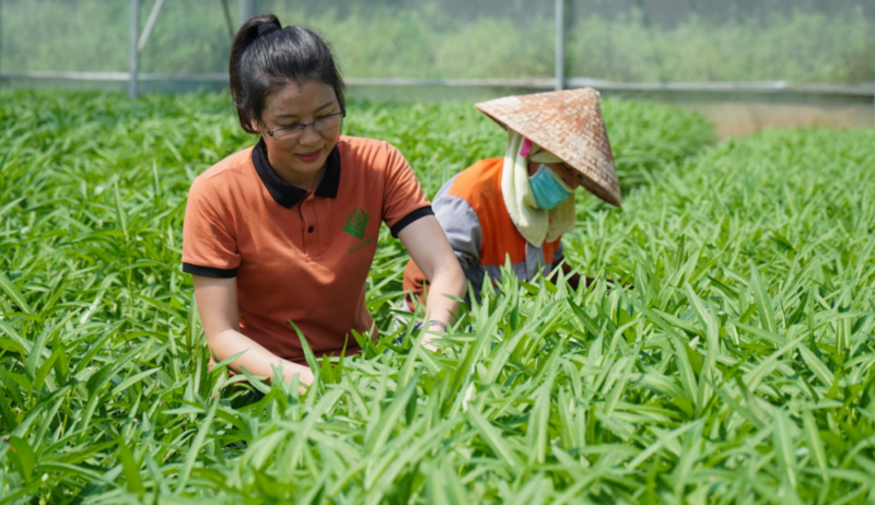 Đề xuất sớm hình thành cơ sở pháp lý chặt chẽ về phát triển kinh tế tuần hoàn