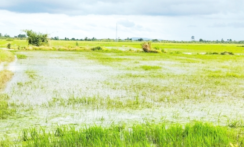 Đắk Lắk: Hỗ trợ người dân bị ảnh hưởng do thiên tai