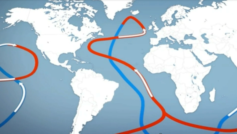 Thảm họa môi trường toàn cầu nếu hệ thống hải lưu ngừng lưu thông