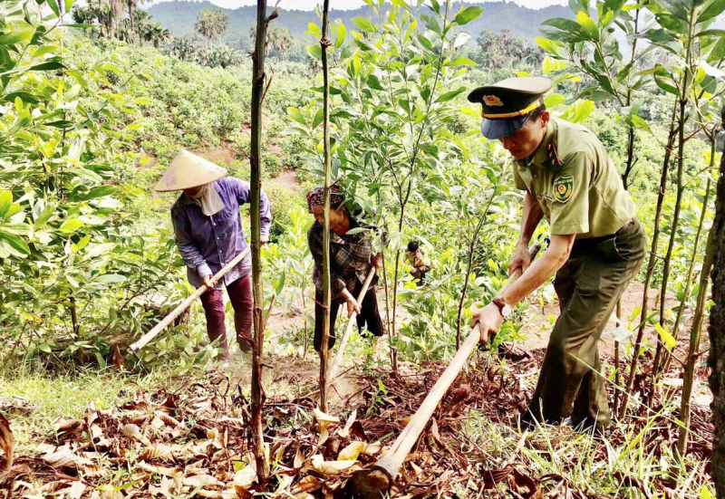 Khẩn trương nghiên cứu, đề xuất sửa đổi định mức hỗ trợ khoán bảo vệ rừng