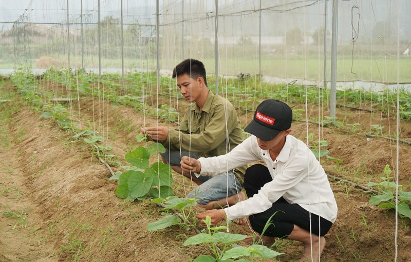 Ngành nghề nông thôn sẽ thu hút khoảng 5 triệu lao động thường xuyên