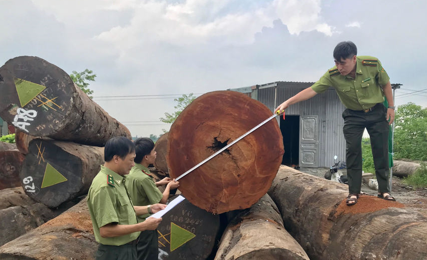 Hà Nội: Tăng cường quản lý khai thác, chế biến lâm sản