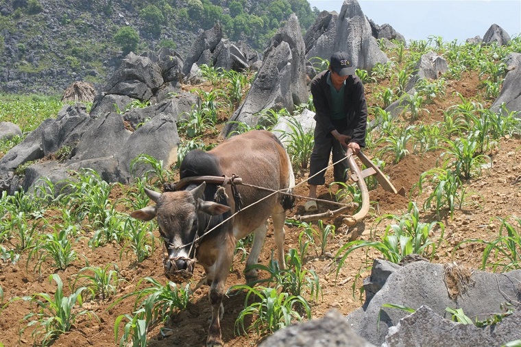 Nhiệm vụ trọng tâm trong thực hiện Kế hoạch phát triển kinh tế-xã hội năm 2023