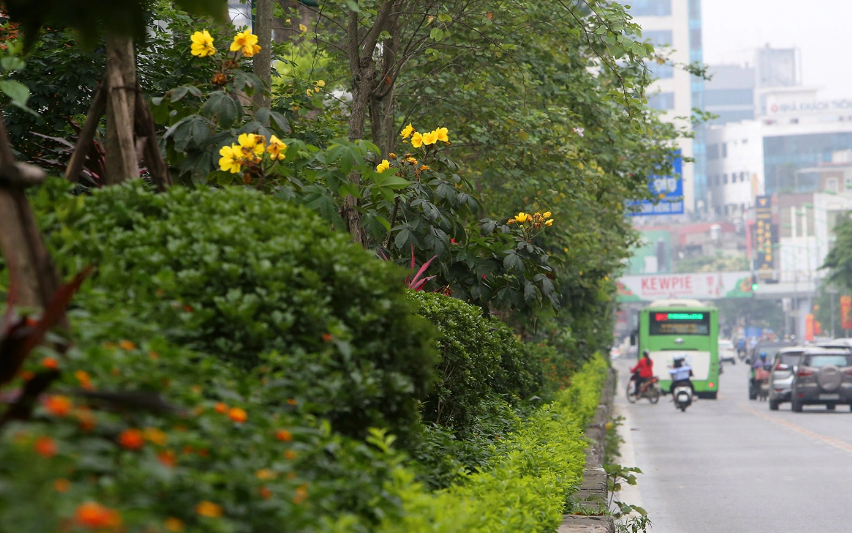 Hoàn thiện hệ thống hạ tầng ứng phó với biến đổi khí hậu