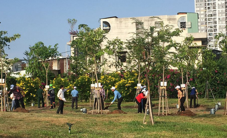 TP. HCM: Nâng cao hiệu quả phong trào trồng, bảo vệ cây xanh