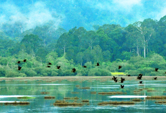 Phát triển mạng lưới Ramsar