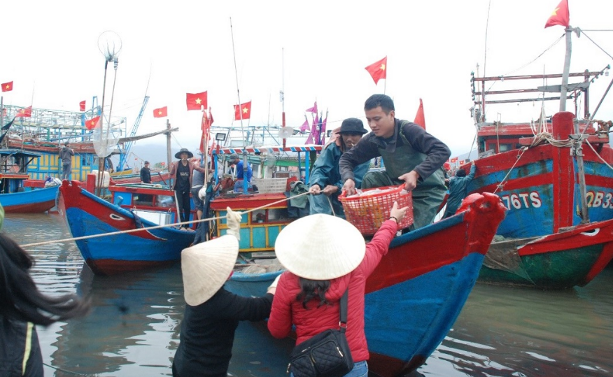 [Photo Story] Quảng Bình: Ngư dân làng biển Cảnh Dương trúng vụ cá khoai đầu năm