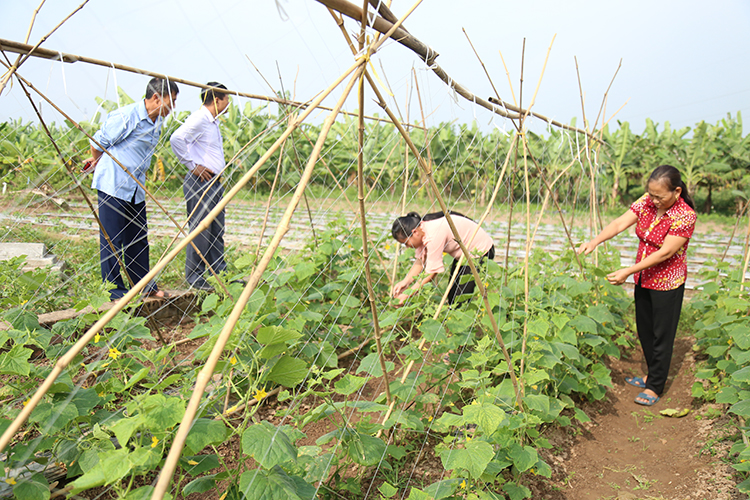 Tối thiểu 20% dân số sẽ tham gia các tổ chức kinh tế tập thể