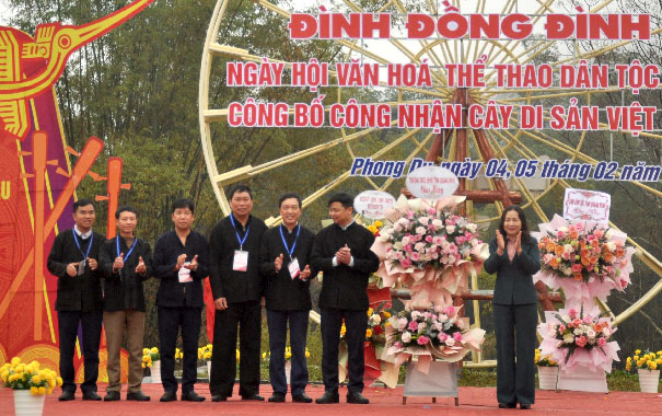 Quảng Ninh: 2 cổ thụ trên 300 năm được công nhận Cây Di sản Việt Nam