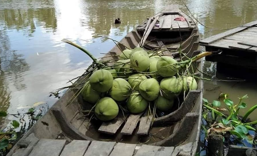 Phát triển bền vững các sản phẩm từ dừa