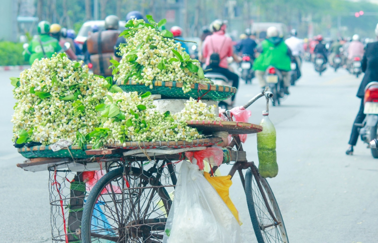 [Photo Story] Mùa bưởi ra hoa