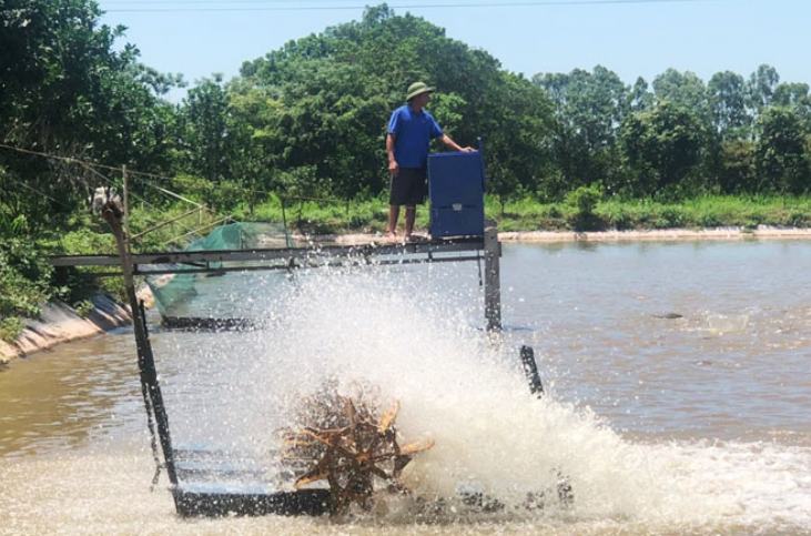 Hà Nội: Chủ động triển khai các biện pháp phòng, chống dịch bệnh thủy sản