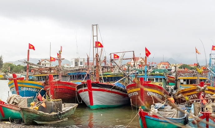 Quảng Bình: Nỗ lực phòng chống đánh bắt hải sản bất hợp pháp