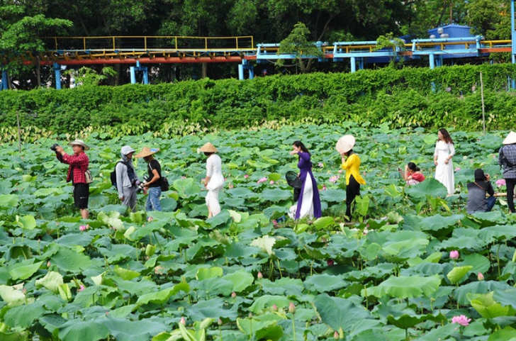 Trên 3.000 hồ, ao ở Hà Nội cấm san lấp