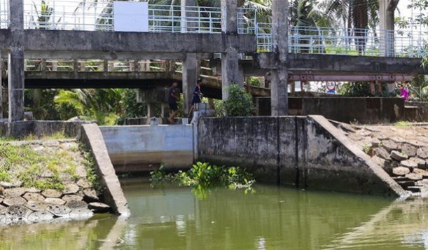 Chủ động phòng, chống xâm nhập mặn