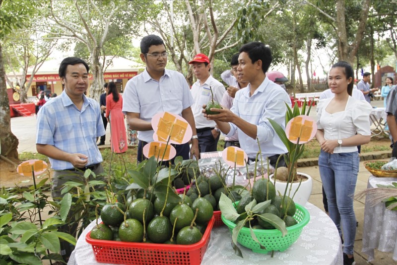 Phú Yên: Mục tiêu có ít nhất 25 sản phẩm OCOP đạt từ 3 sao trở lên