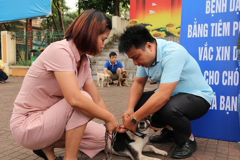 Bố trí đủ nguồn lực để triển khai có hiệu quả kế hoạch phòng, chống bệnh Dại