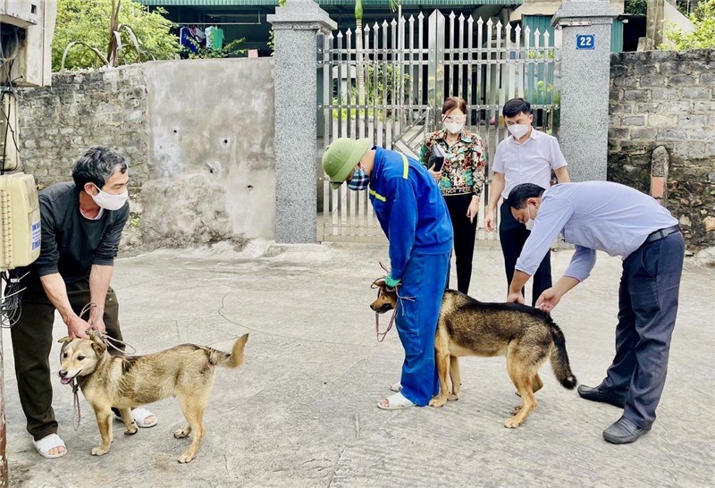 Thành lập đoàn kiểm tra phòng, chống bệnh Dại