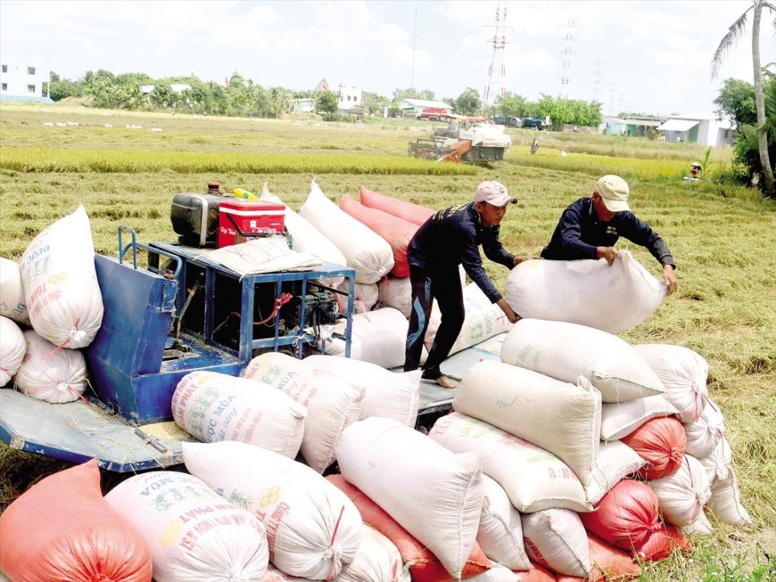 Dự báo, xuất khẩu gạo trong quý II sẽ tiếp đà tăng trưởng