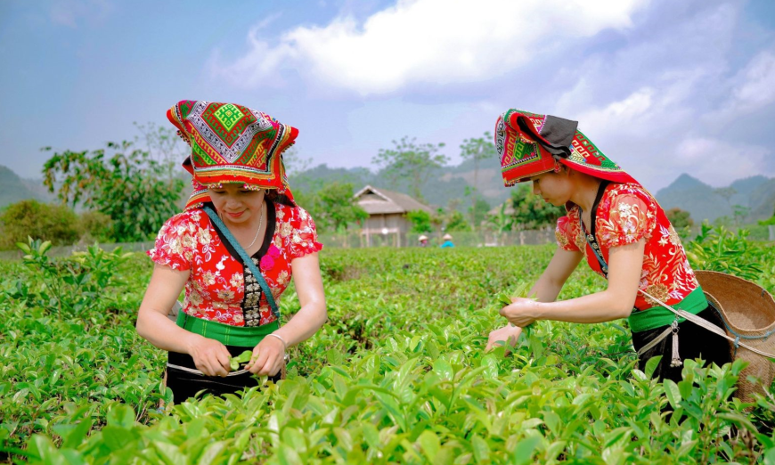 Tăng cường các giảm pháp giảm phát thải trong sản xuất nông nghiệp