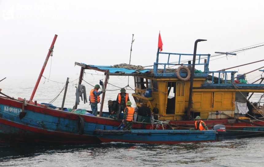 Cần quyết liệt ngăn chặn tình trạng đánh bắt hải sản bất hợp pháp (IUU)