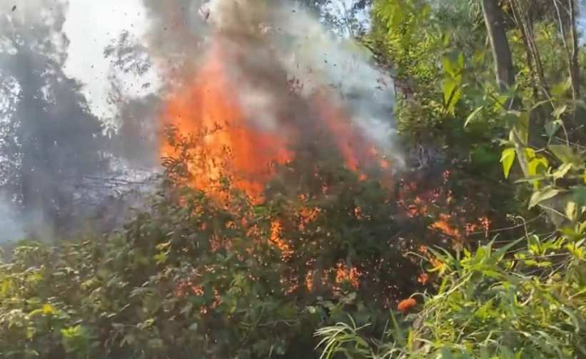 Hà Tĩnh: Dập tắt đám cháy rừng tại núi Động Nỏ