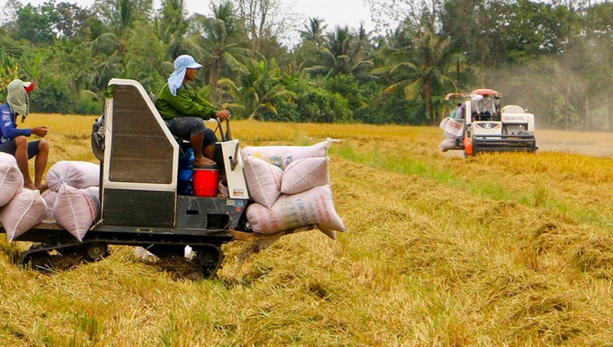 Chuyển dịch cơ cấu chủng loại gạo xuất khẩu