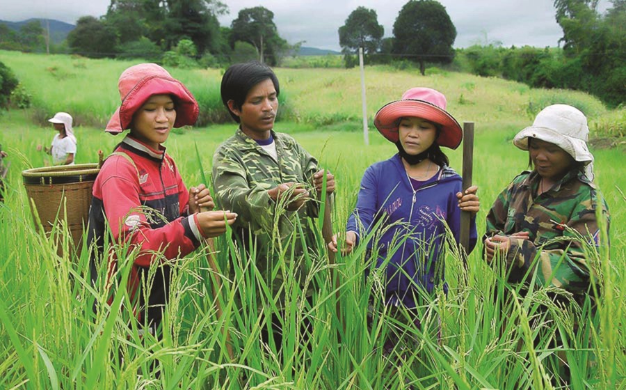 Các địa phương cần đẩy mạnh triển khai Chương trình giảm nghèo bền vững