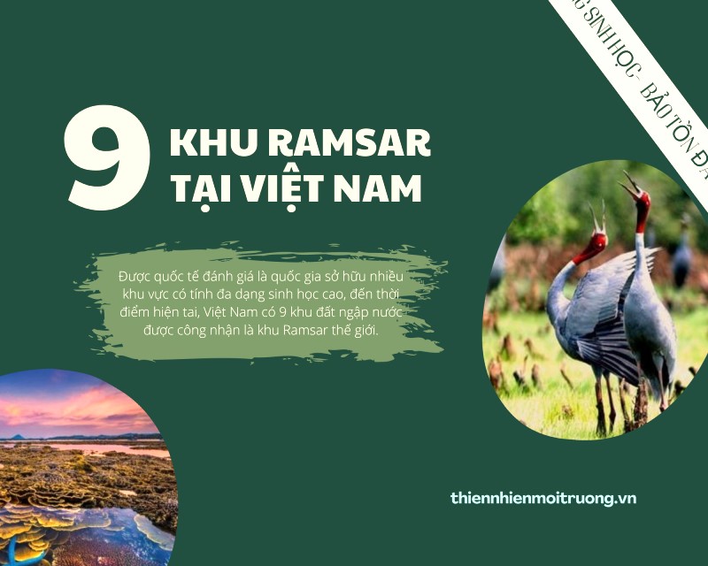 [Infographic] 9 khu đất ngập nước được quốc tế công nhận khu Ramsar