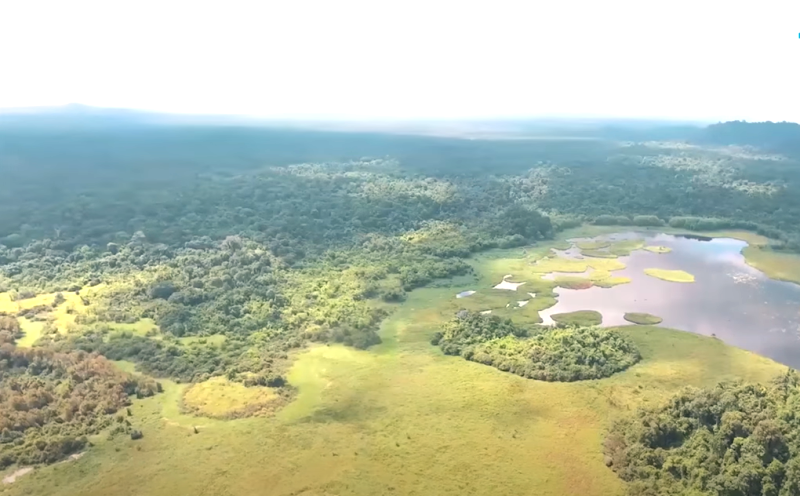 Tiêu chí nào để được công nhận khu Ramsar?