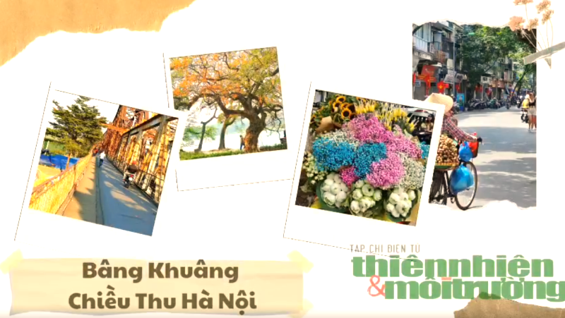 Bâng khuâng Thu Hà Nội