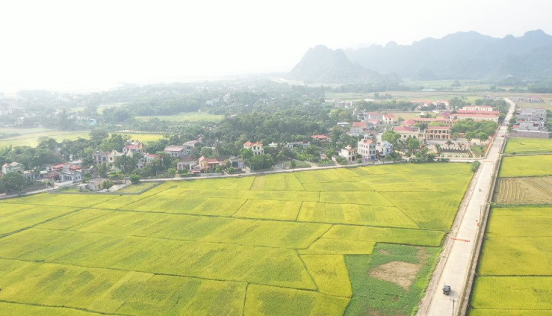 Nghiên cứu những kiến nghị của địa phương liên quan đến Luật Lâm nghiệp và Đất đai