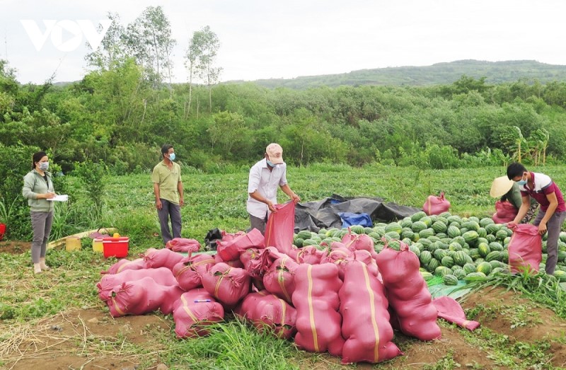 Phú Yên: Đẩy mạnh triển khai chương trình mỗi xã một sản phẩm