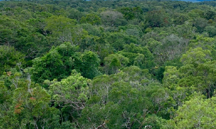 Cao nguyên Kon Hà Nừng