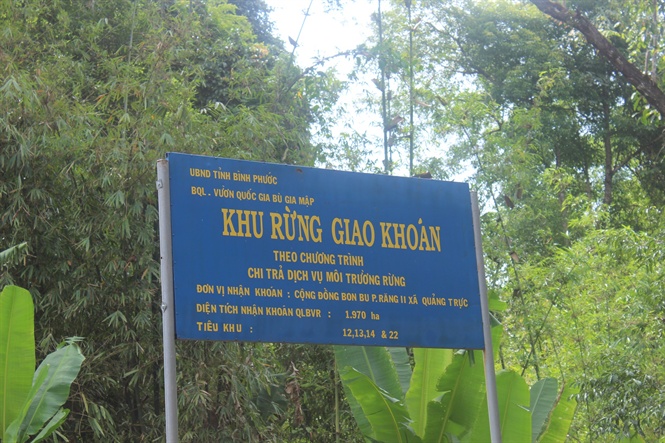 Tiếp tục đẩy mạnh nguồn thu từ dịch vụ môi trường rừng