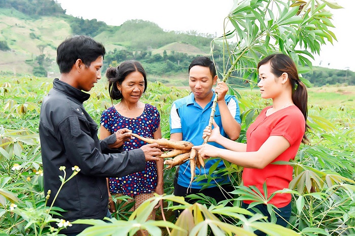 Giao kế hoạch vốn thực hiện các chương trình mục tiêu quốc gia