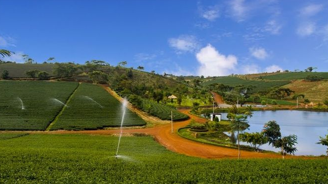 Lâm Đồng: Chi hơn 300 tỷ đồng triển khai Đề án quản lý đất đai