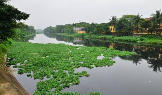 Hà Nam: Sông Đáy và Nhuệ ô nhiễm mức báo động 2