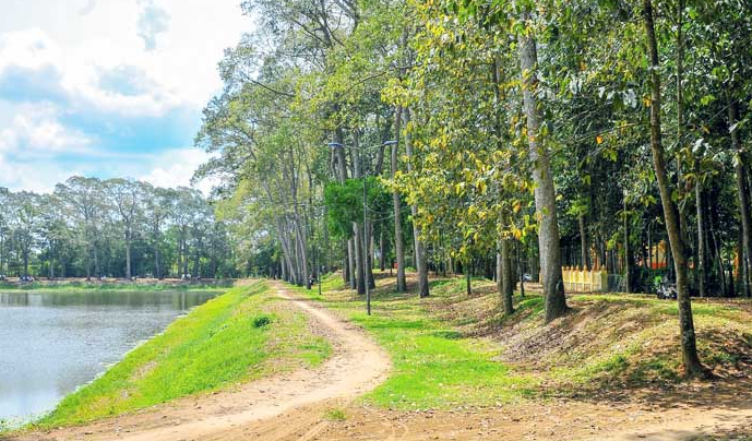 Trà Vinh: Đẩy mạnh trồng cây xanh